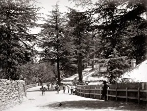 Simla: View of The Mall, Simla, Shimla, India, c.1860's