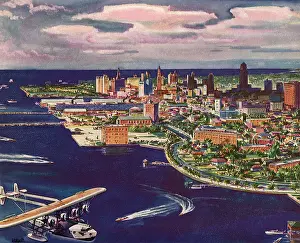 Flor: View of the Miami Coast