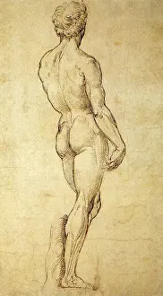 Idealized: Back View of Michelangelo's David, by Raphael