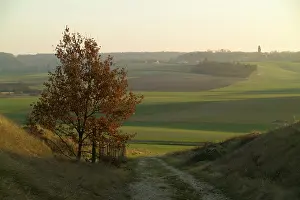 Mondemont: View toward National Monument to the Victories - Marne