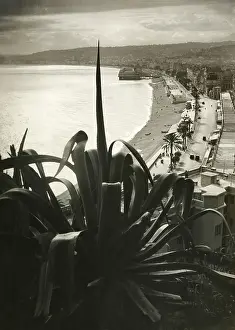 D Azur: View of Nice, 1934
