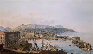 Beaumont: View of Nice, France, with harbour and ships