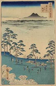 Picnicing: View to the north from Asukayama