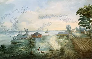 Migrations: A View of Old Fort Eric with the Migrations of Wild Pigeons