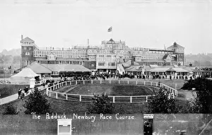 Paddock: View of paddock and grandstand, Newbury racecourse