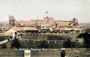 Paddock: View of paddock and grandstand, Newbury racecourse