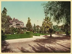 C1901: View on Palm Avenue, Riverside