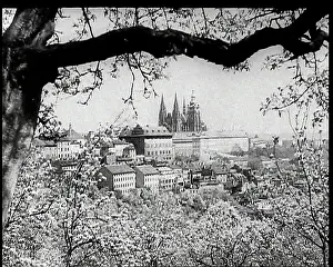 Vitus: A View From Petrin Hill Towards Prague Castle