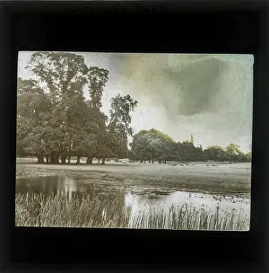 Alex Lambert Lantern Slide Collection: VIew of the pond Charlcote Park