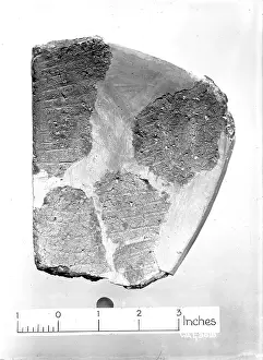 Fragments: View of pottery fragments against a white background