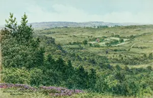 Hindhead: View across the Punchbowl, Hindhead, Surrey