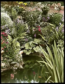 Rockery: View of Reginald Malby's garden and pond