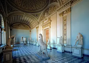Forefront: View of the Room of