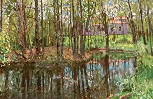 Stanislas: View of a Russian park