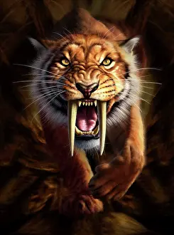 Close Up: Full on view of a Saber-toothed Tiger