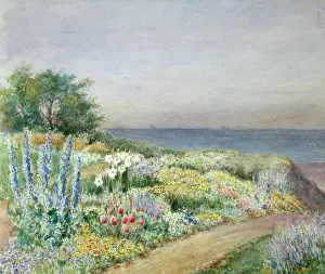 Dixon: View to the Sea