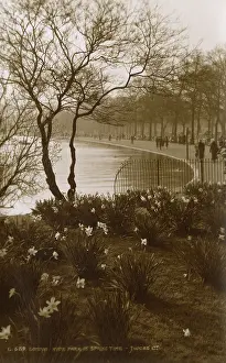 Restrained: View of the Serpentine, Hyde Park, London - Springtime