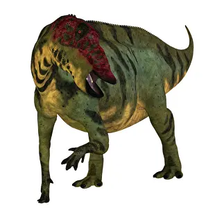 Iguanodont: Front view of a Shuangmiaosaurus dinosaur