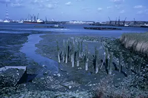 Crossness: View across the Thames