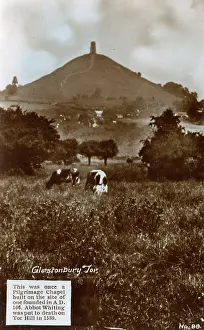 Glastonbury: View of Tor Hill, Glastonbury, Somerset