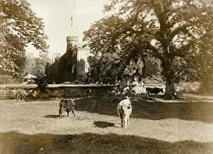 Tulloch: View of Tulloch Castle, Scotland