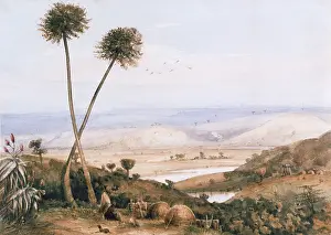 Umgeni: View of the Umgeni River, 1845-1850