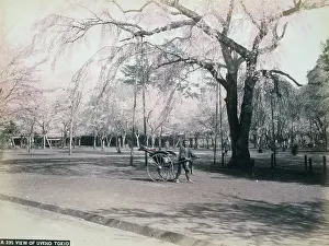 Tokio: View of Uyeno, Tokio