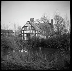 Vernacular: View from the west across a pond towards Artist's Cottage