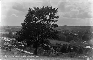 Giles: View of Winchester from St. Giles Hill