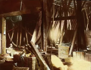 Stephans: View into the wooden framework of the roof of St. Stephen's