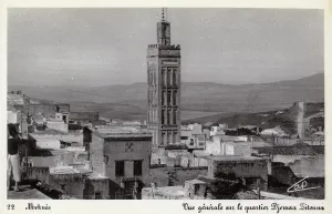 Meknes: View of Zitoune minaret, Meknes, Morocco