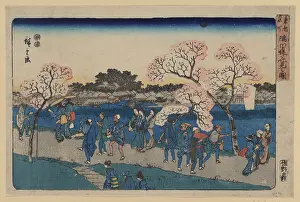 Sightseers: Viewing cherry blossoms along the Sumida River