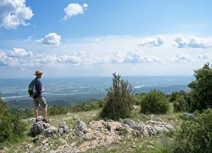 Hectares: Viewpoint, cedar forest, Petit Luberon, Provence, France