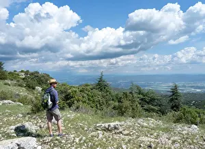 Hectares: Viewpoint, cedar forest, Petit Luberon, Provence, France