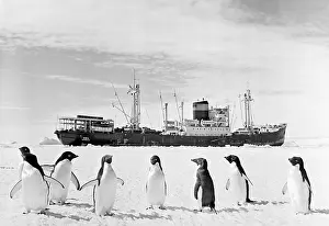 Adelie: Views of Antarctic