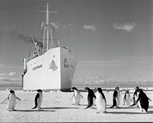 Preobrazhensky: Views of Antarctic