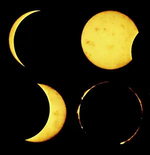 Phases: Views of the Great Solar Eclipse, 1869
