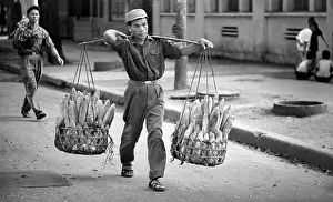 Sobolev: Views of Hanoi
