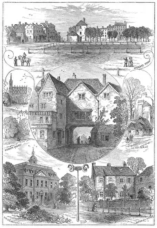 Ashurst: Views of Highgate, North London