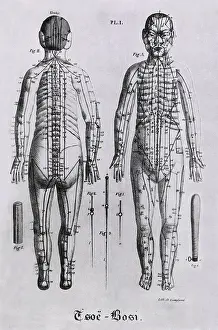 Acupuncture: Front and back views of a human figure with ?