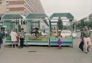 Nikitin: Views of Kursk
