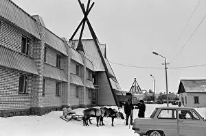 Deers: Views of Lovozero