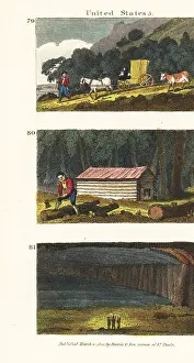 Tarry: Views in the midwest and Kentucky