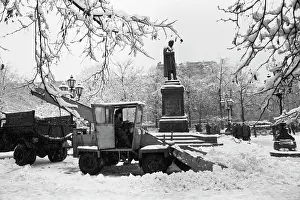 Clearing: Views of Moscow