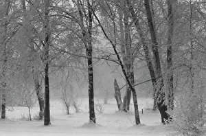 Frosty: Views Of Moscow
