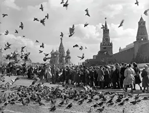 Sitnikov: Views of Moscow