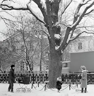 Sozinov: Views of Moscow
