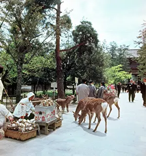 Kunov: Views of Nara