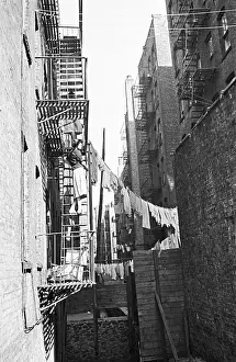 Yards: Views of New York