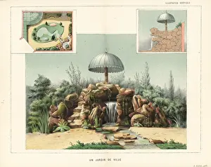 Succulents: Views and plan of a town garden